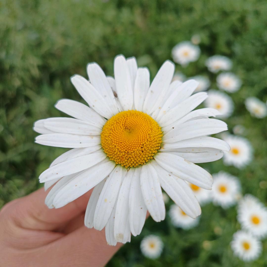 爱听音乐的小张