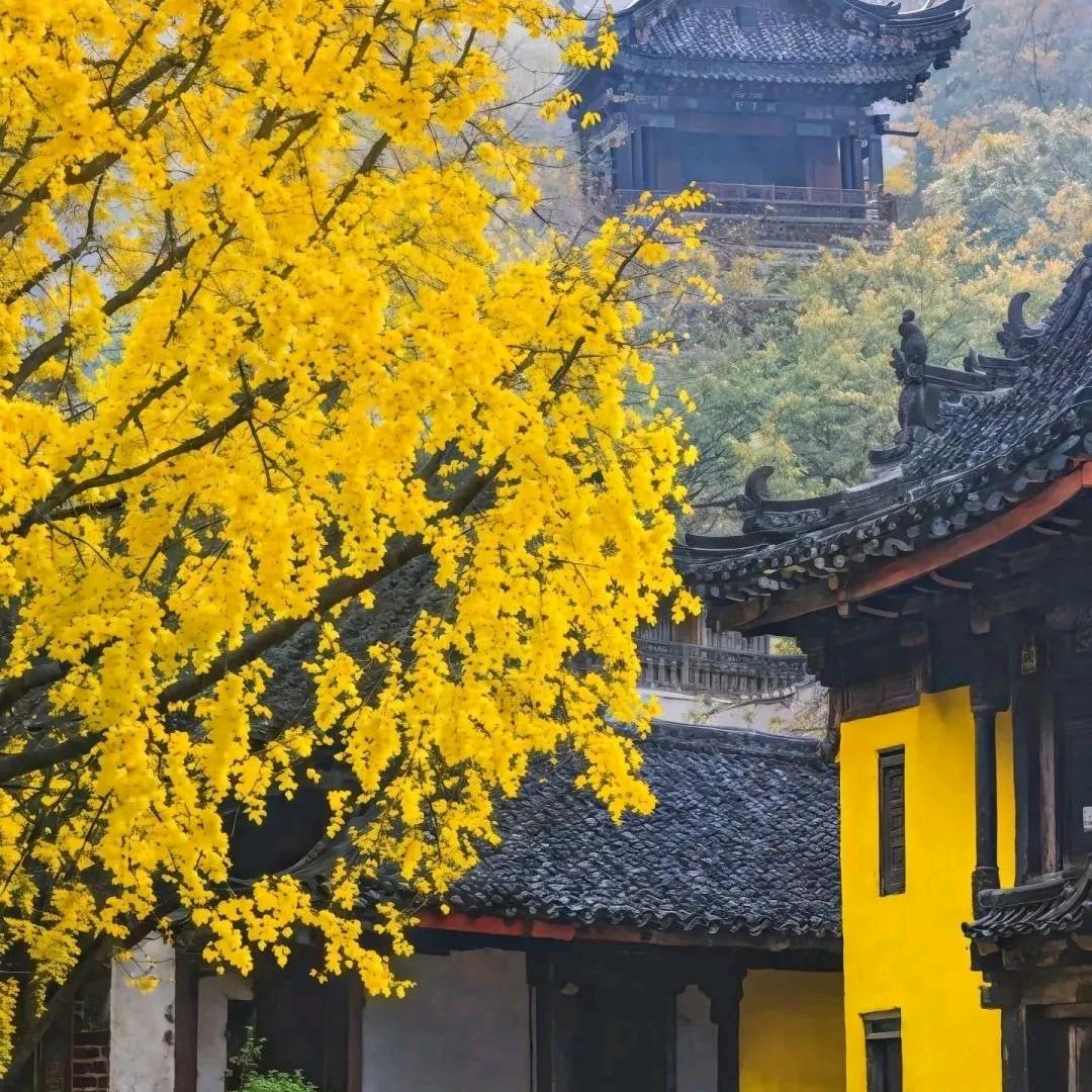 回首山河已是秋