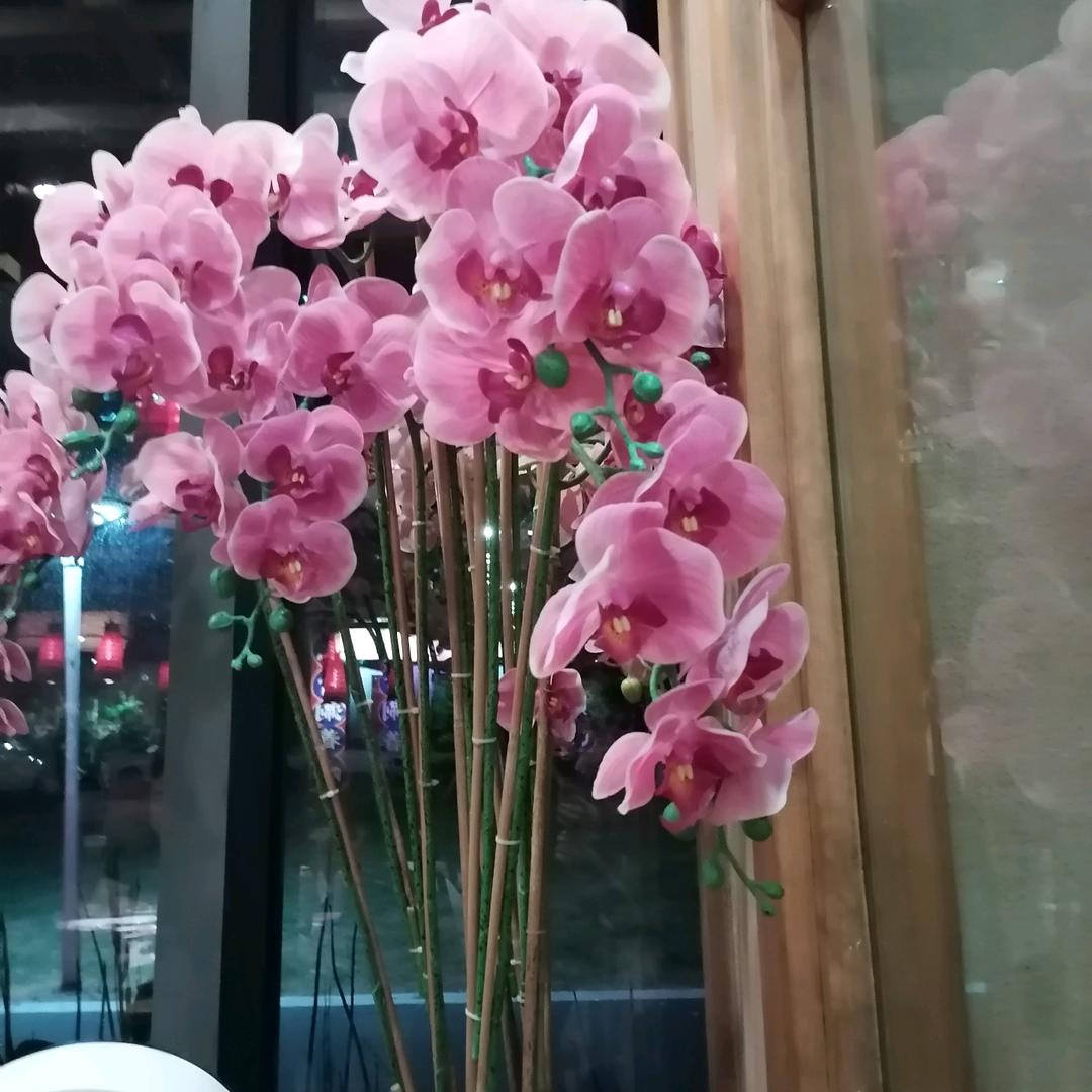人生不容易❤️🌸🌷🌹🌳