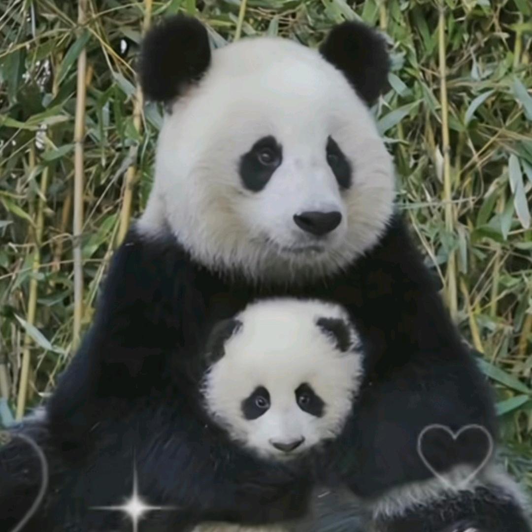 @爱奇迹