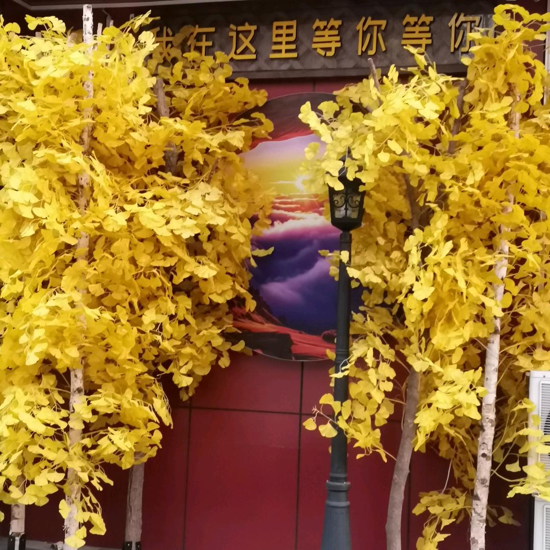 豁达一生