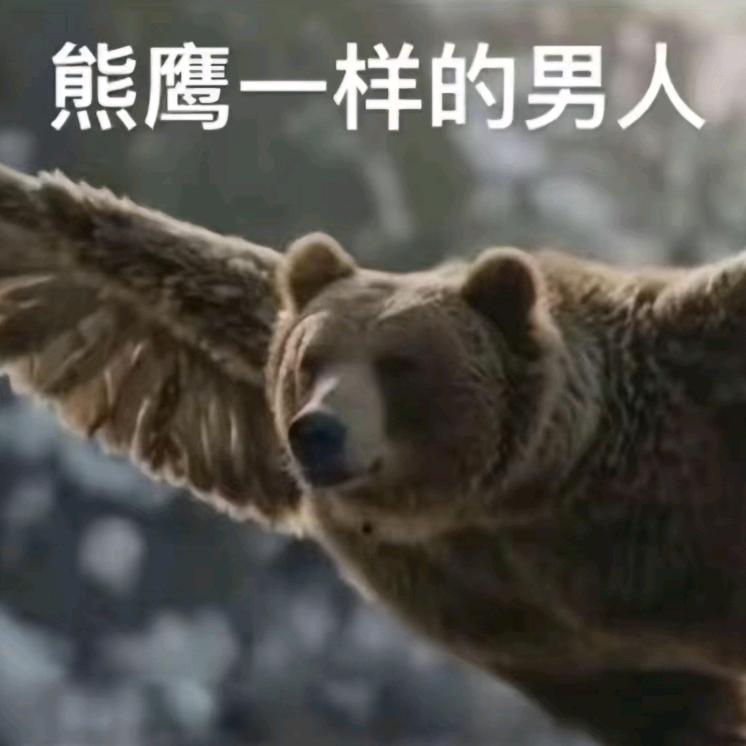 熊鹰般的男人