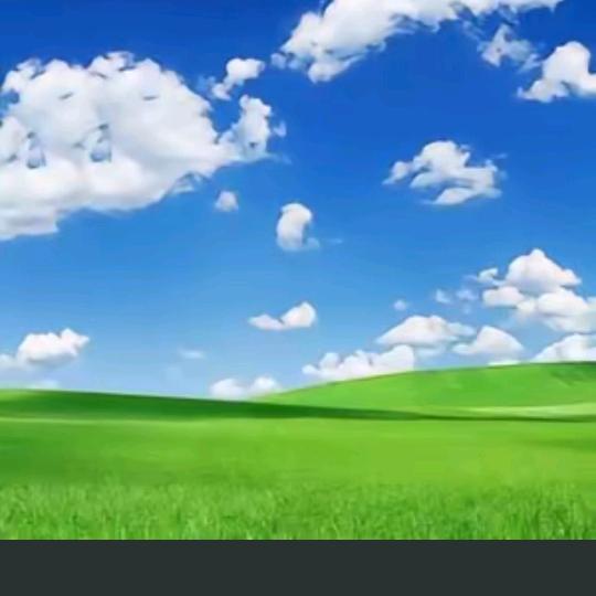 玲玲姐