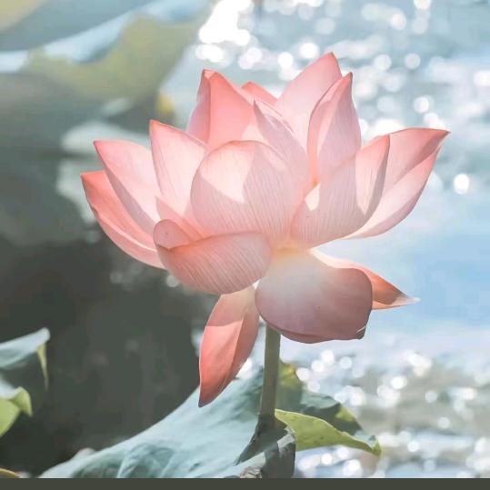 圣贤书