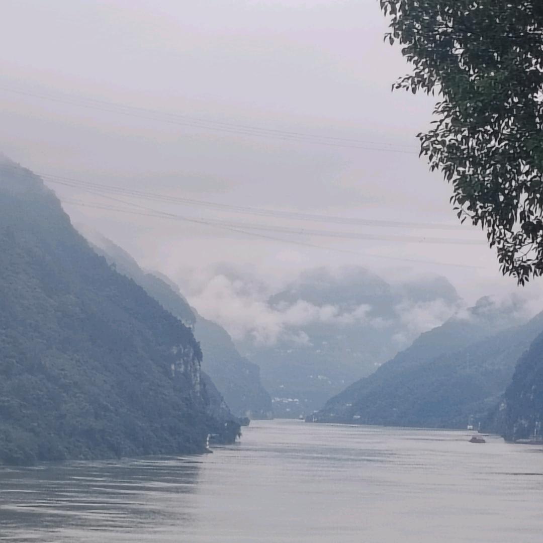 白天卖房，晚上卖熊猫卤菜