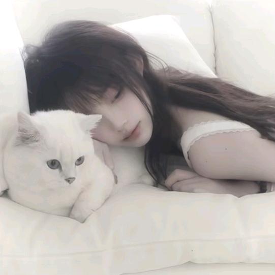 小雪ㅤ