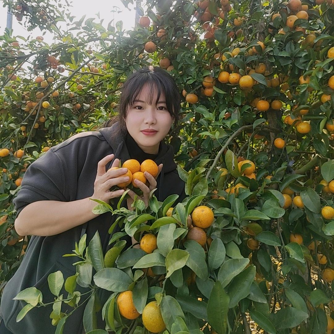 糖果包甜