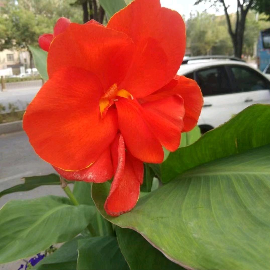 开心老乐🇨🇳