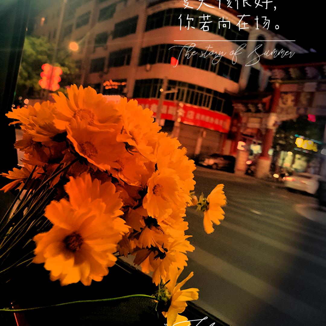 ღ᭄ꦿ꯭丽ঞৣঁ姐প᭄᪲💔