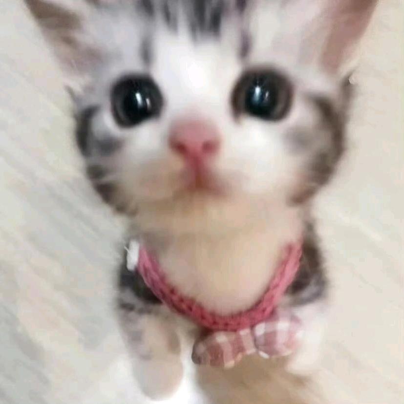不吃了行不行