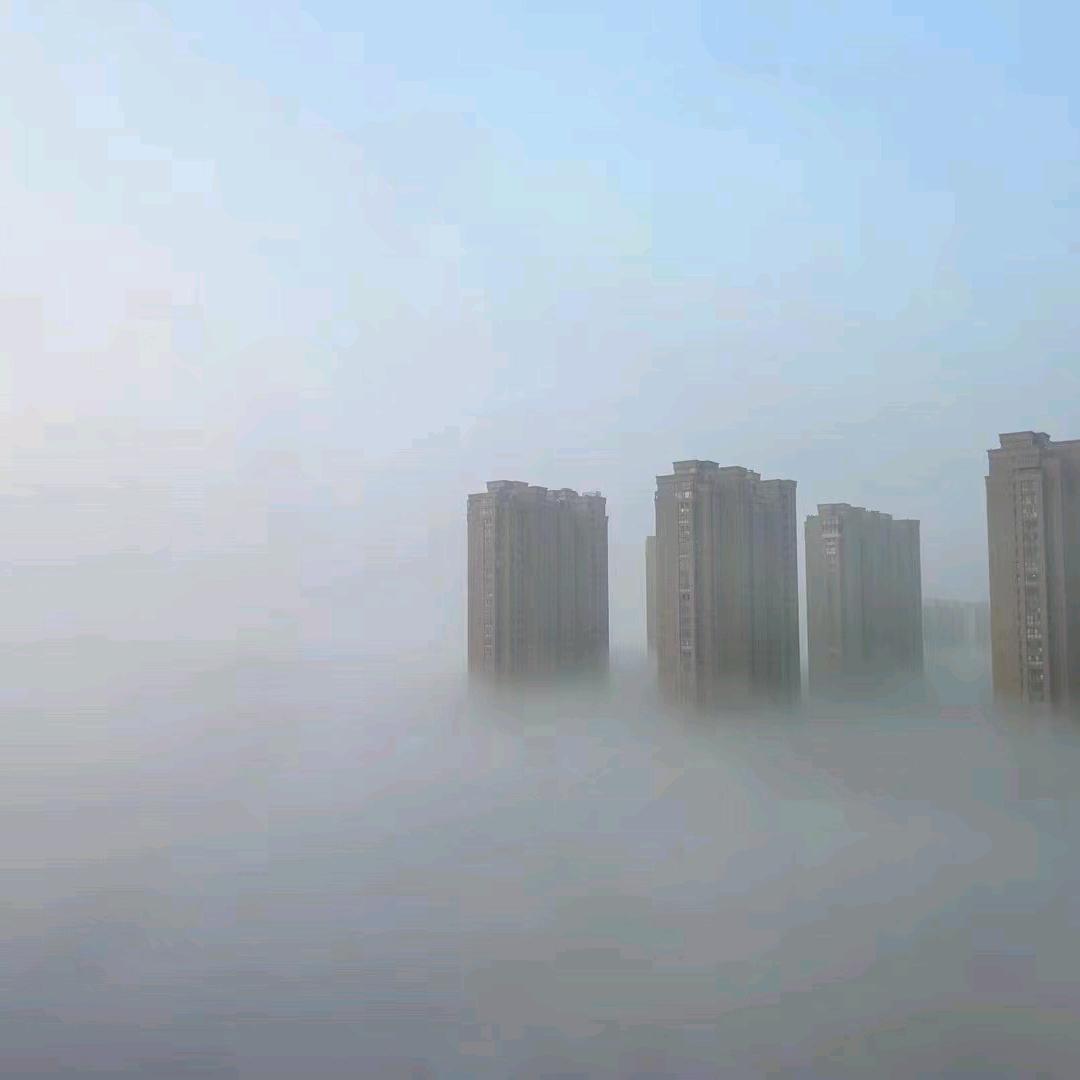 军中绿花