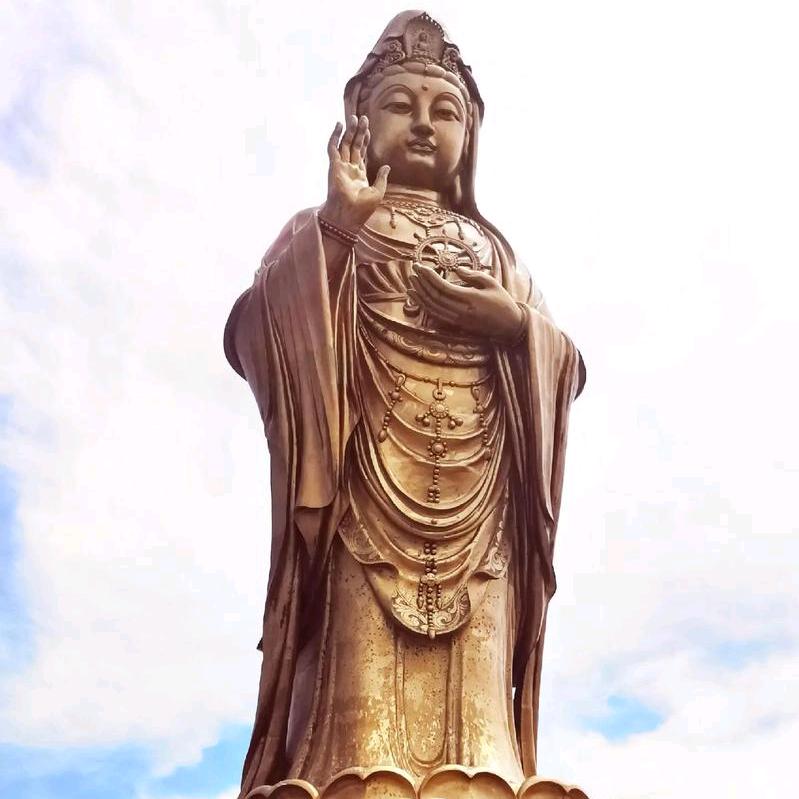 🙏快乐飞翔🙏✌Happy