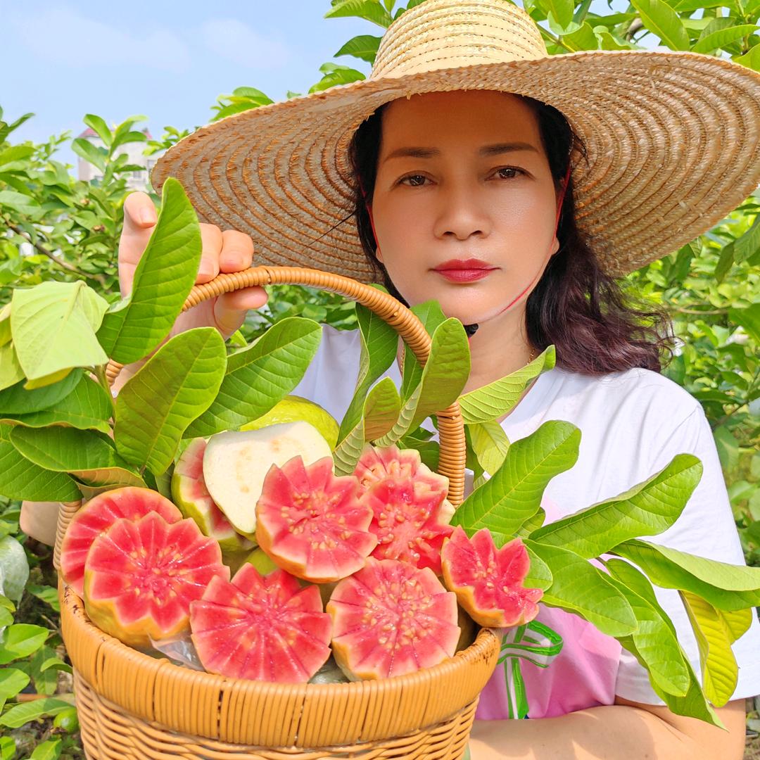 四季如初果园