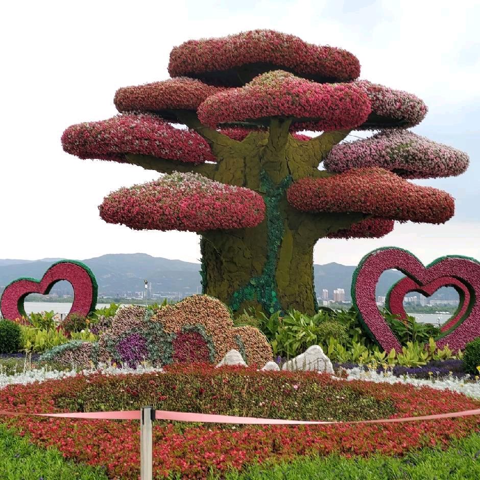 心❤️态能改变一切