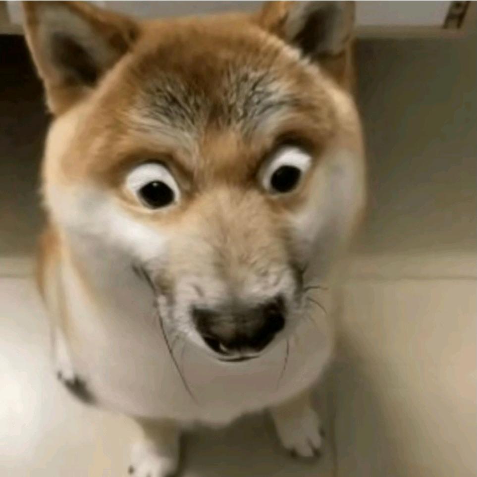 咦，是你的瑶瑶yA丶