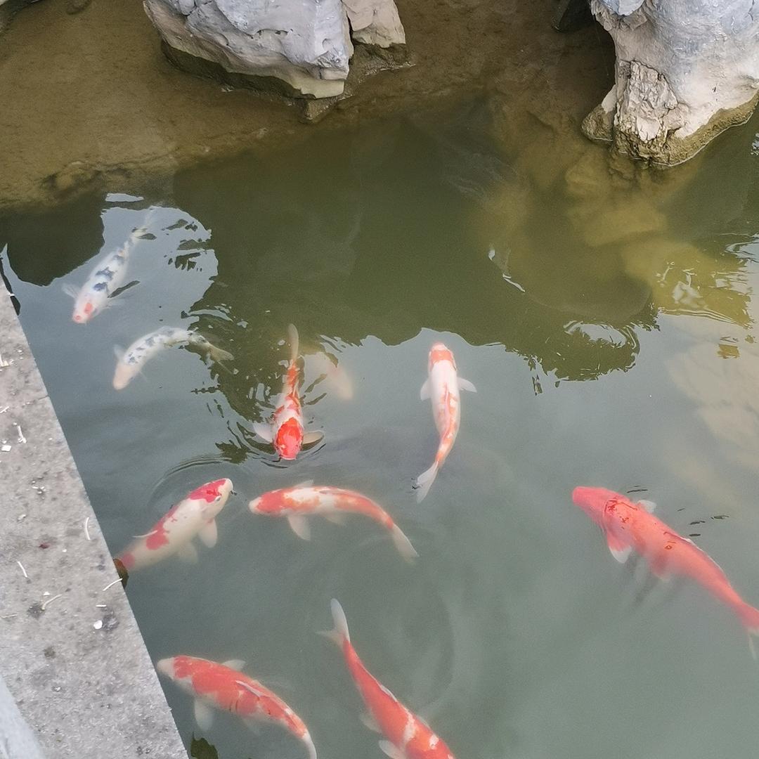 ✨✨七月✨✨缘份✨✨