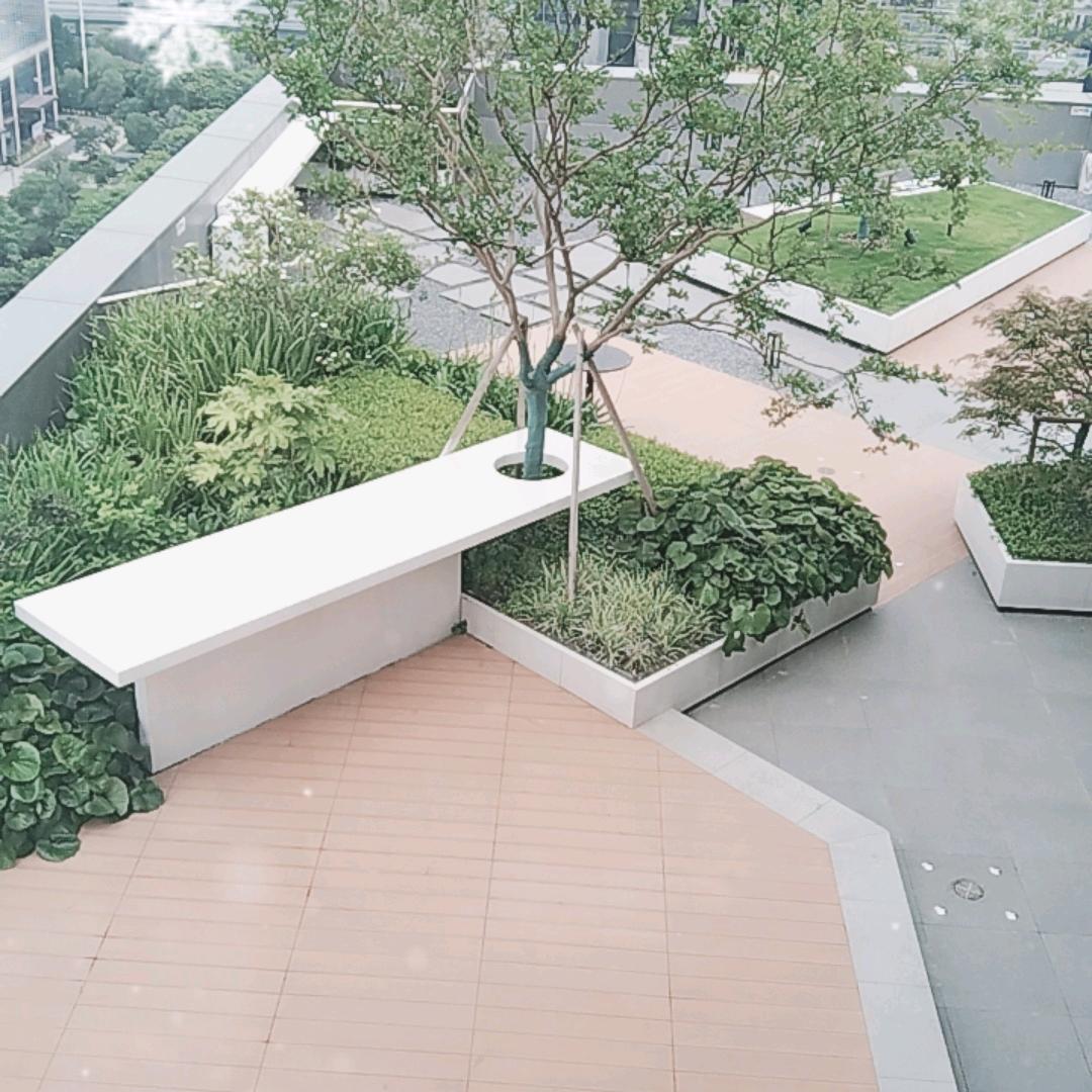 胖胖带货8