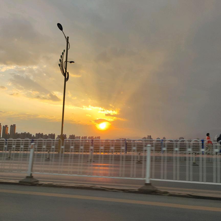 名字被猪拱走了