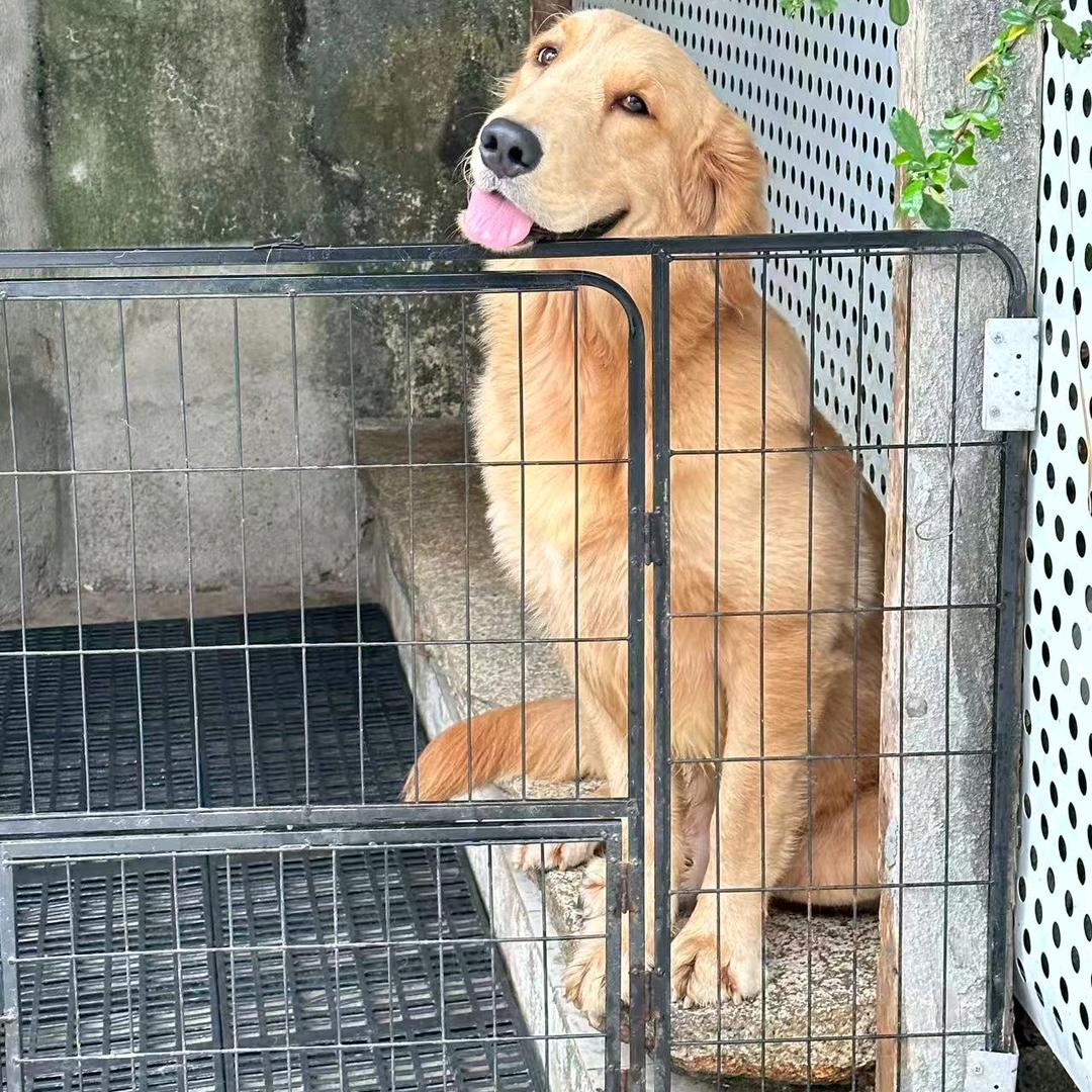 不准擦邊丶