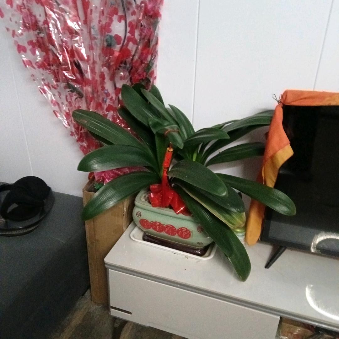 啊清