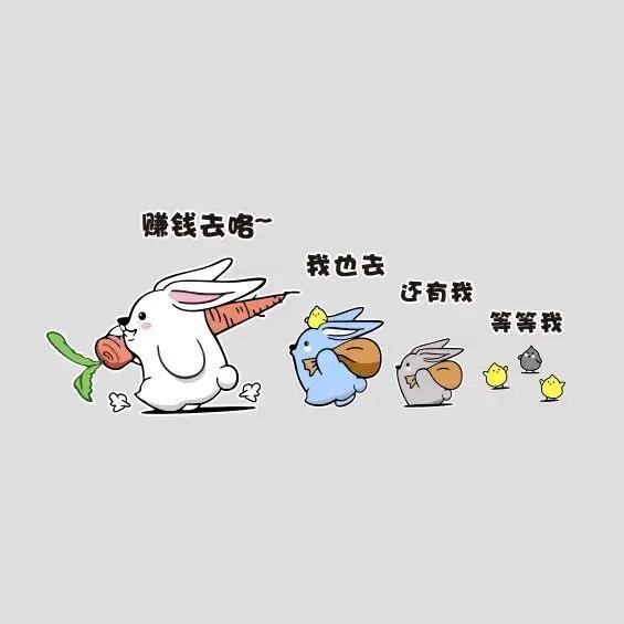 小翟翟🐰