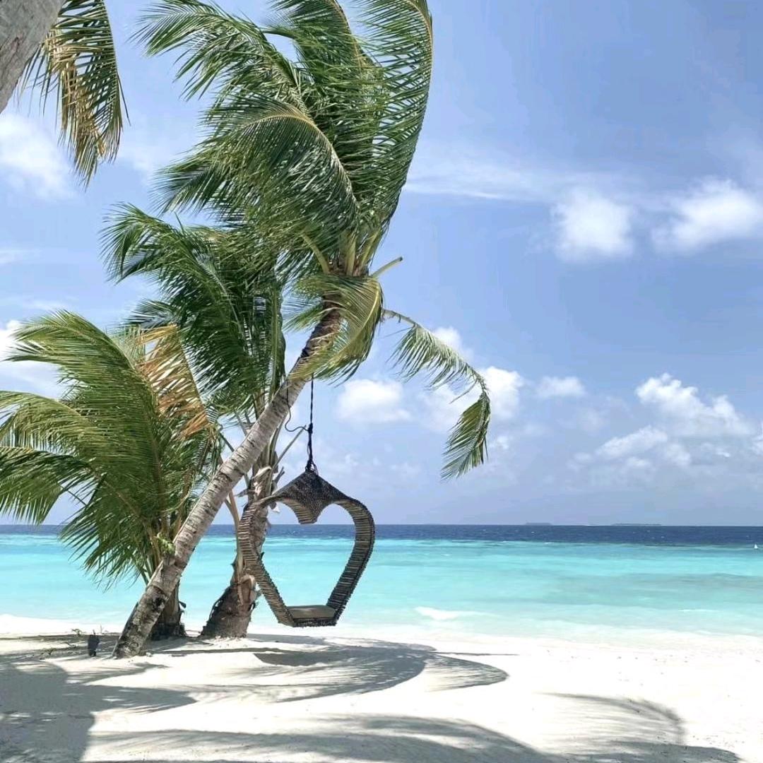 瑞木家具~彩🌻