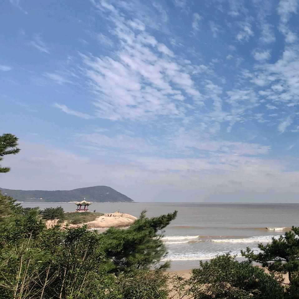 🌹尚善若水🌹