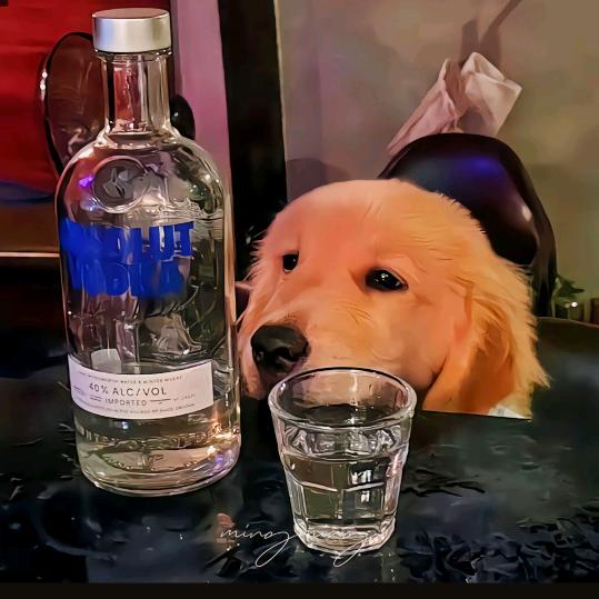 乄一世挚勋727