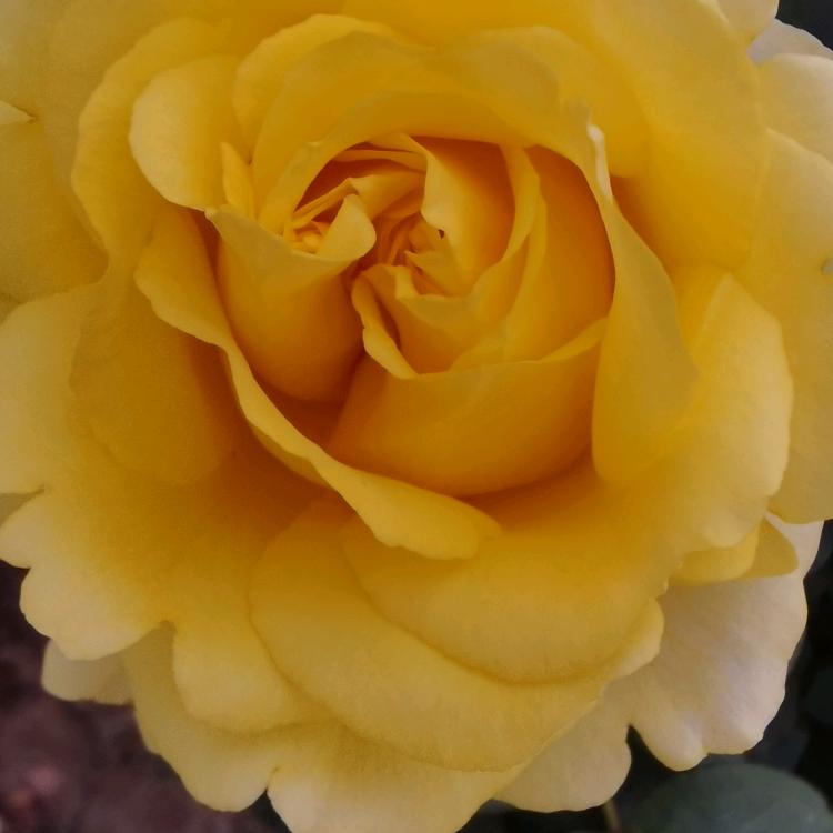 长隆岩板玻璃科技