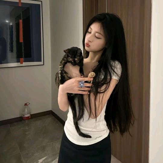 24鸿珠汽车好物优选