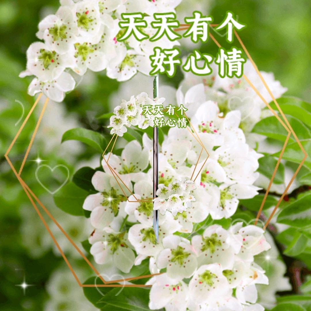 创业顺利888