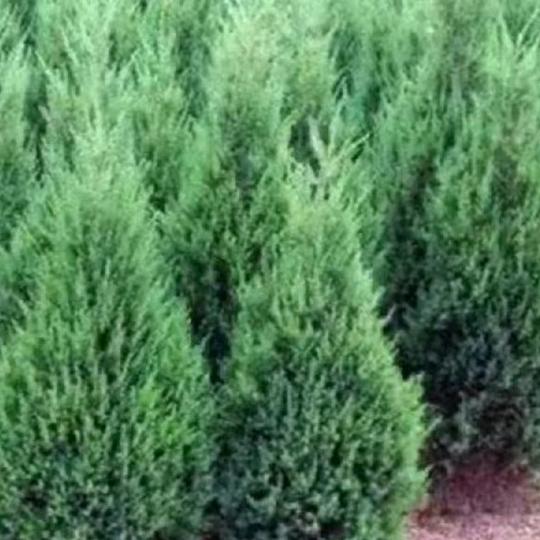 景家屯社区综合农贸市场招商，平安是福