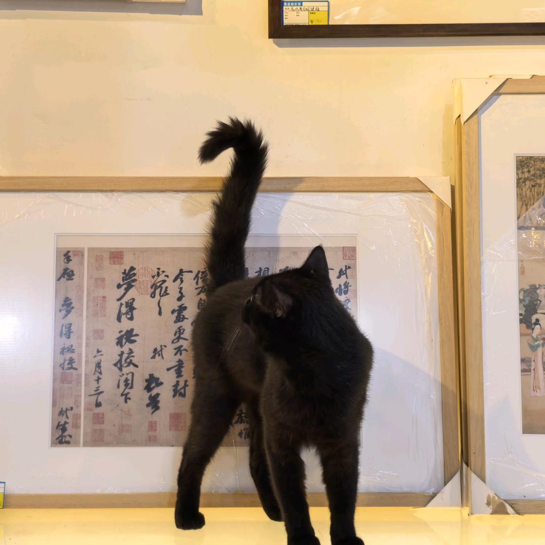 猛踹瘸子的好腿