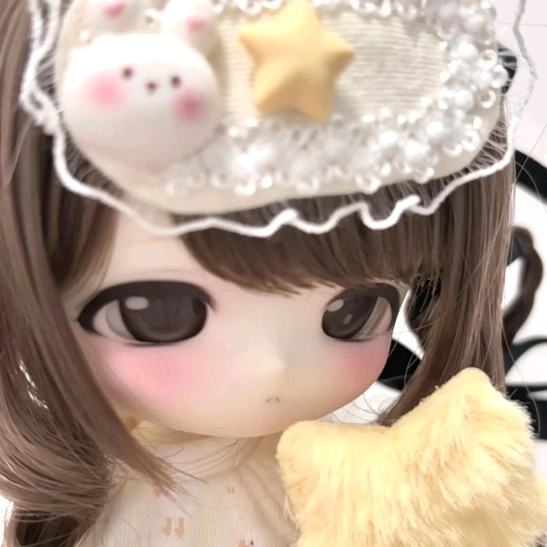 狸花猫