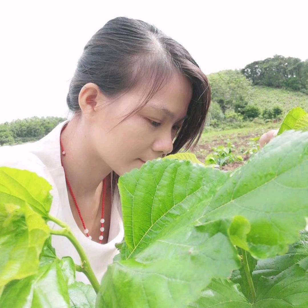 种菜姑娘红宏(已开通橱窗)