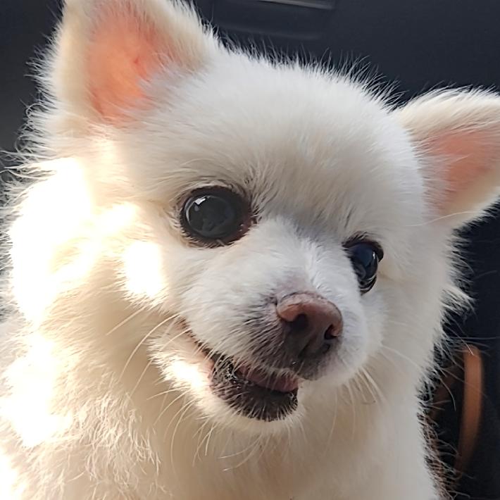 疯狂小然