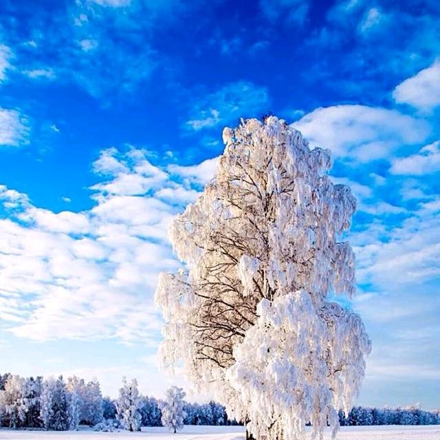所有幸运都需要努力