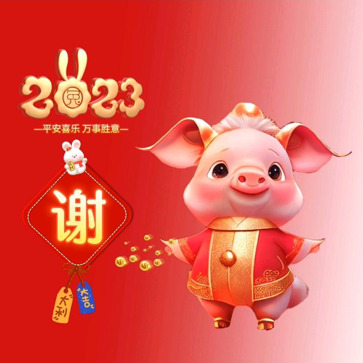 71年的笨猪