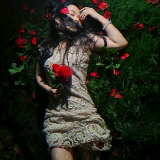 -杨小杨