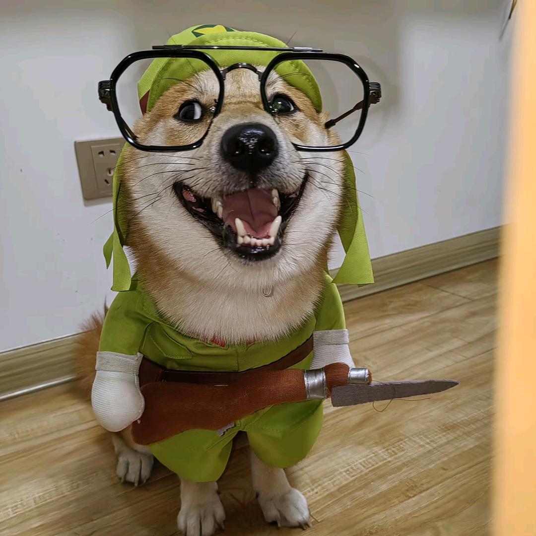 熊桑