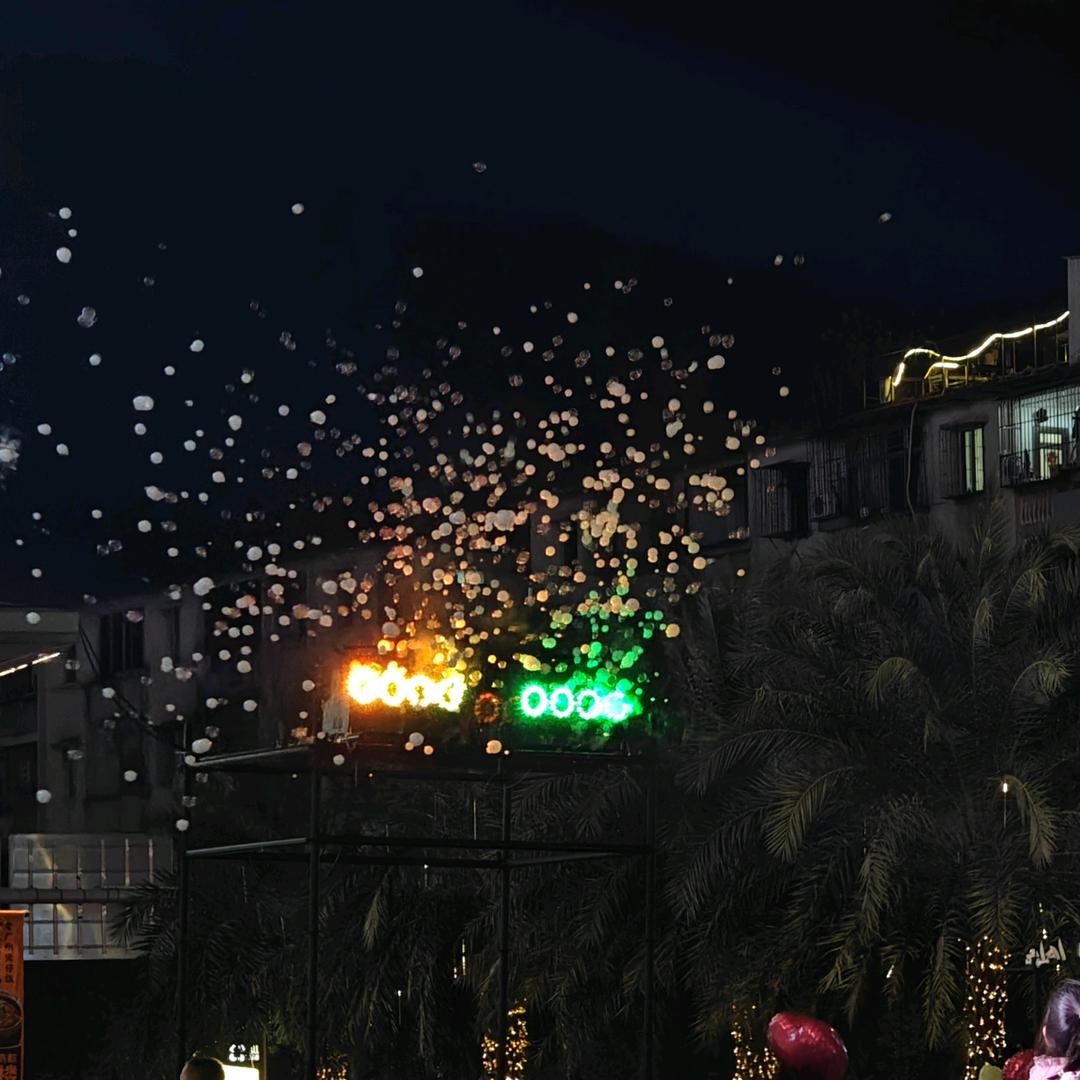 🦜一一🦜