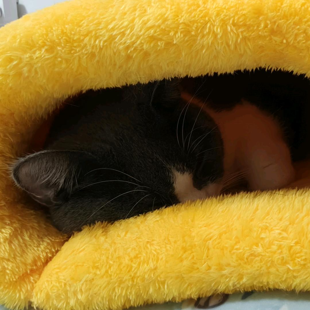 秦崽崽的朋友圈