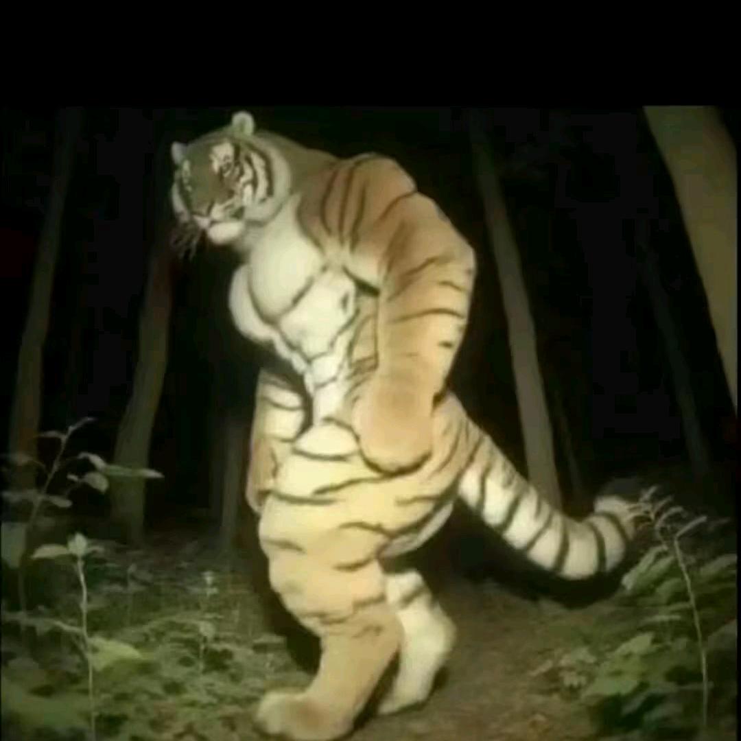 继续努力吧！！！