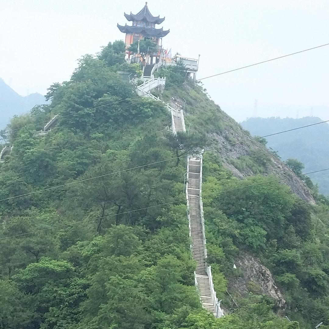 单身格格