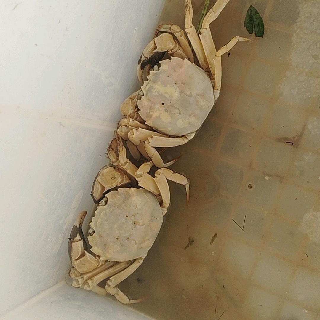似水流年