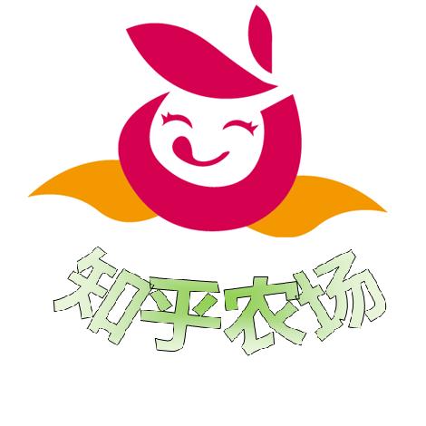 知乎农场美人橘