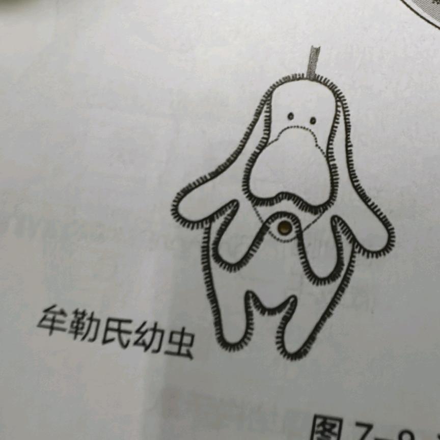 用户10086