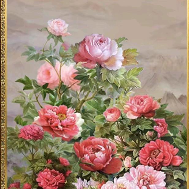 巧云，花开富贵，好运莲莲