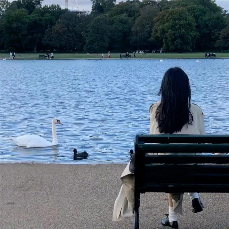 向阳而生