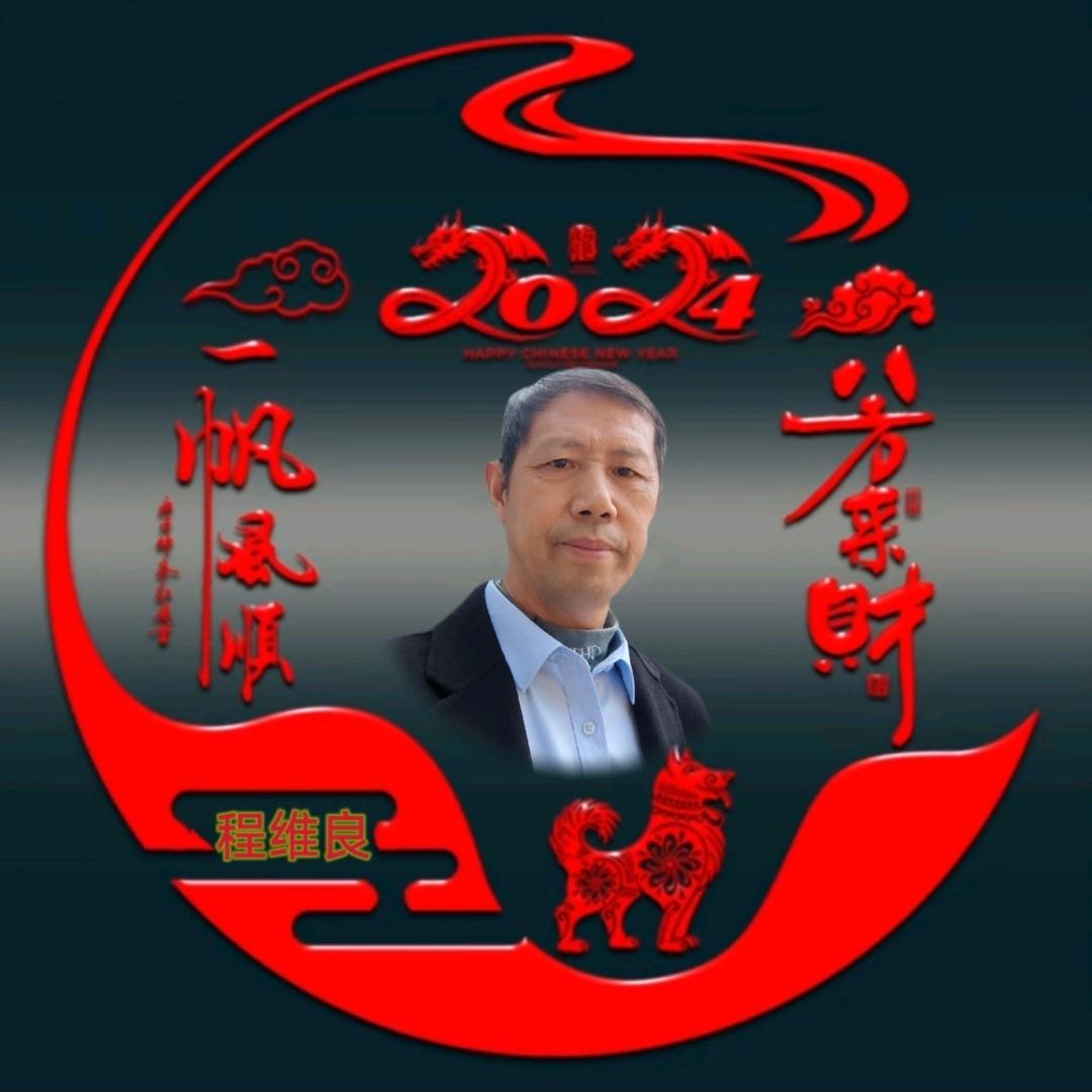 程维良